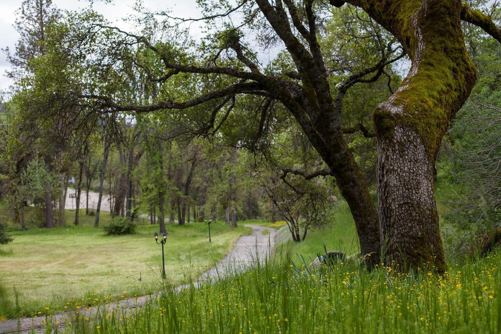Ravensbrook Yosemite Bed & Breakfast 3*
