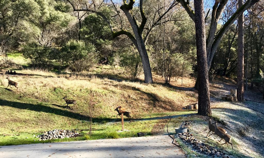 Ravensbrook Yosemite Bed & Breakfast 3*