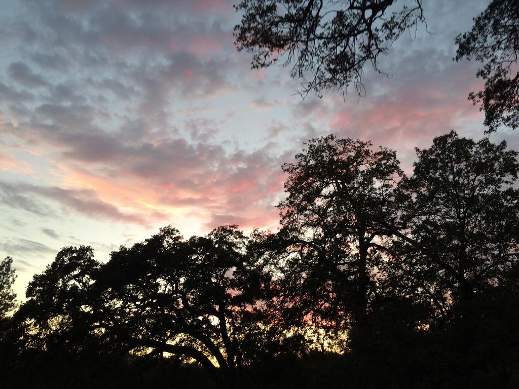Bed & Breakfast Ravensbrook Yosemite